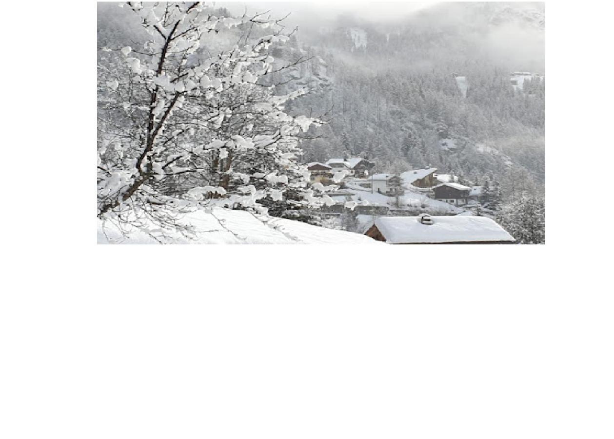 Valtournenche Appartamento Comodo Alle Piste Singlin Exterior foto